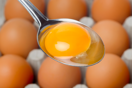 Яичный желток – совершенный природный продукт