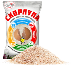 Скорлупа